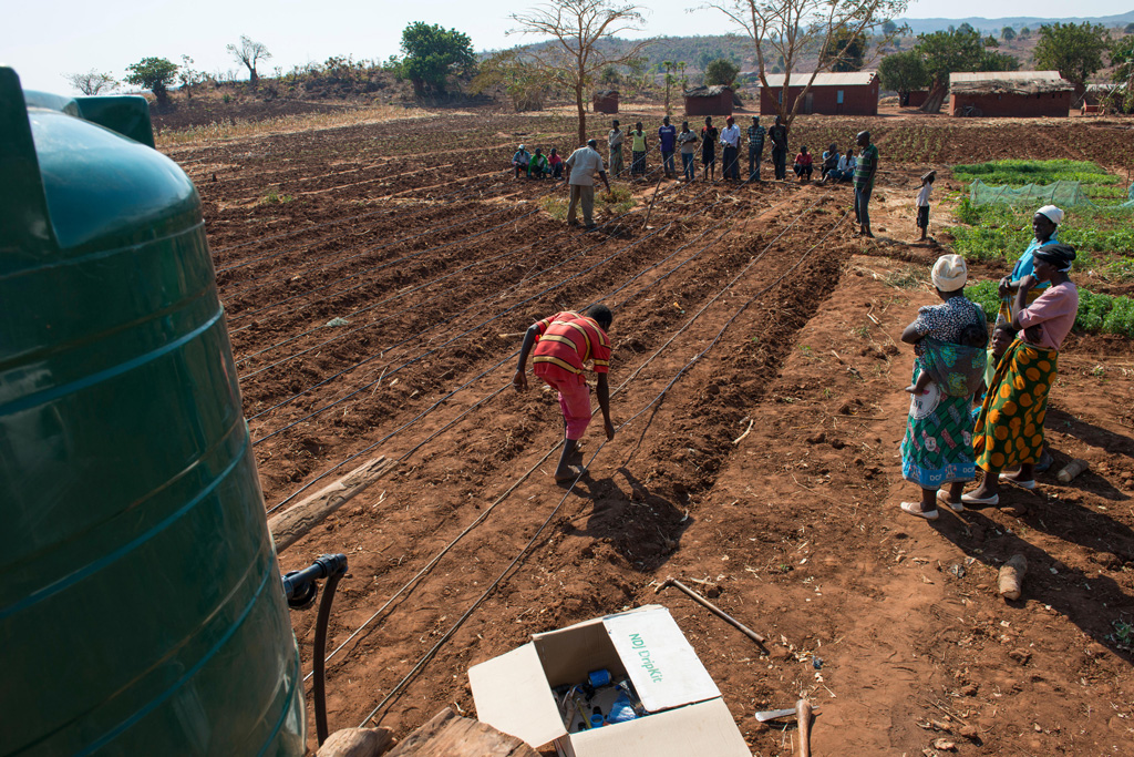 Installation of drip irrigation system for a small scale farmer in Malawi