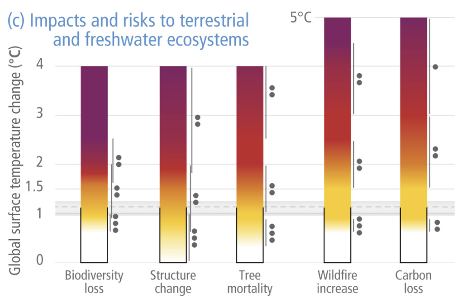 Land and water ecosystem key risks at various levels of warming-IPCC-AR6-WG2