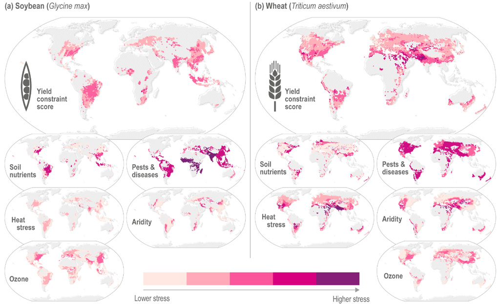 Maps showing the climate-change-related stressors on soya and wheat crops-IPCC-AR6-WG2
