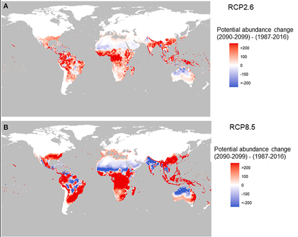 Projected changes in potential abundances of Aedes aegypti over 2090-99-IPCC-AR6-WG2