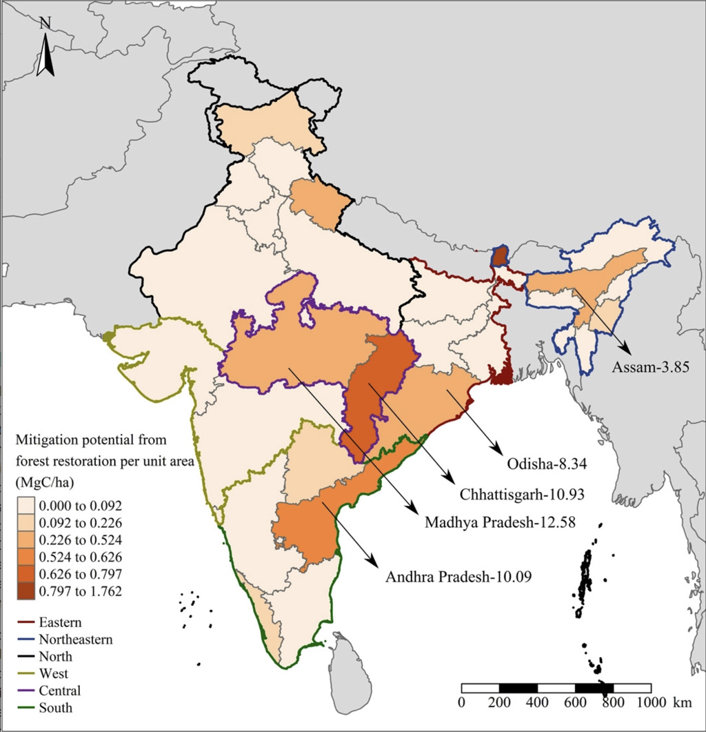 The climate change mitigation potential from natural restoration of forests varies across the Indian states.