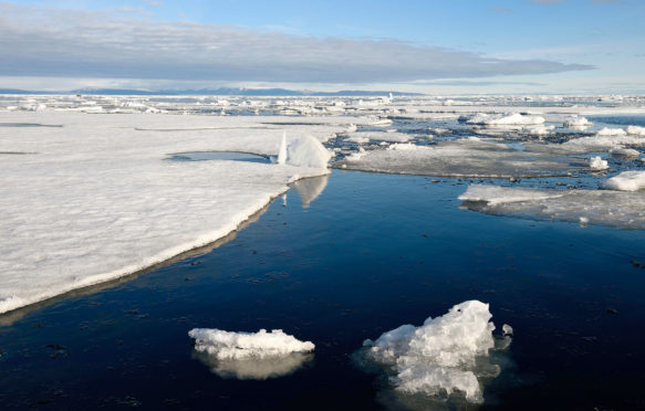 北极海冰融化，格陵兰岛巴芬湾。图片来源：Hemis / Alamy Stock Photo。T8R85X