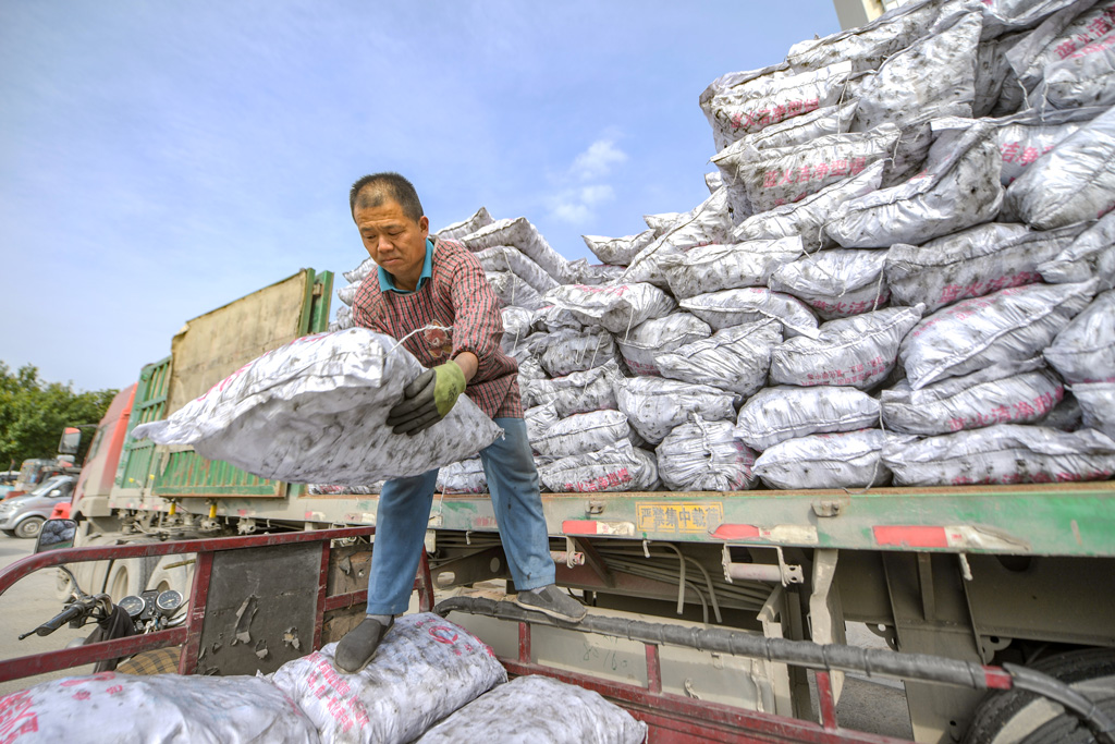 A driver unloading clean coal for residents in Jinan, Chinas Shandong province
