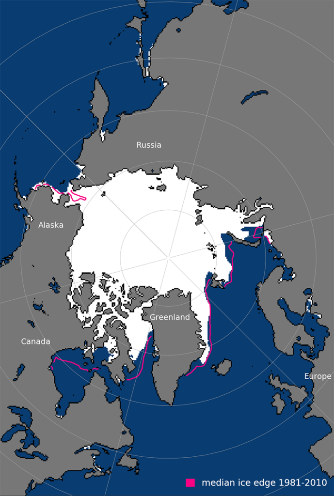Arctic sea ice extent for November 2021. The November 1981-2010 average is shown in pink. Source: NSIDC