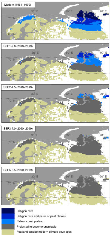 Projections of the areas with suitable climate for permafrost peatlands