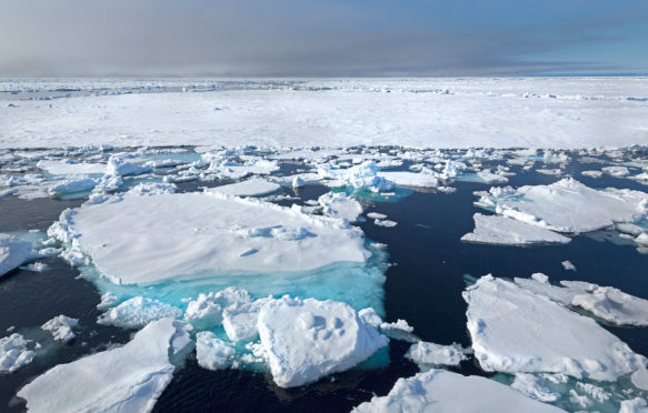 冰漂浮在挪威斯瓦尔巴德附近。图片来源：Naturfoto-Online / Alamy Stock Photo。