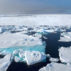 冰漂浮在挪威斯瓦尔巴德附近。图片来源：Naturfoto-Online / Alamy Stock Photo。