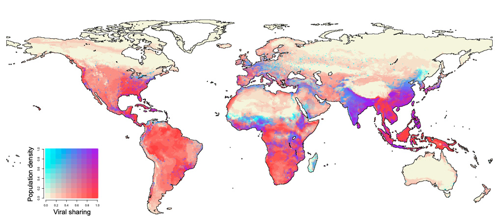 Where novel mammal viral sharing events are likely to overlap with high population density
