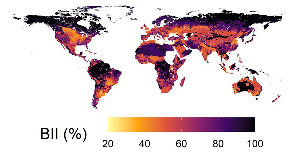 Biodiversity intactness across the world in 2014