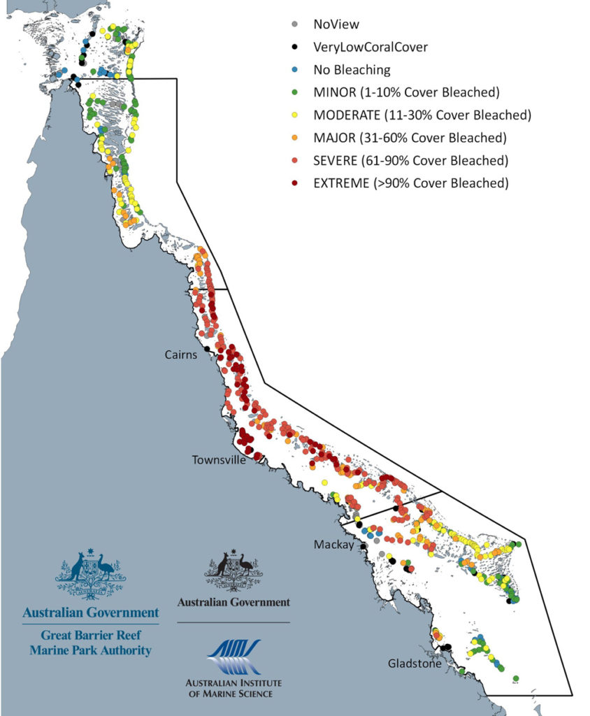 Mass coral bleaching at Australias Great Barrier Reef in 2022