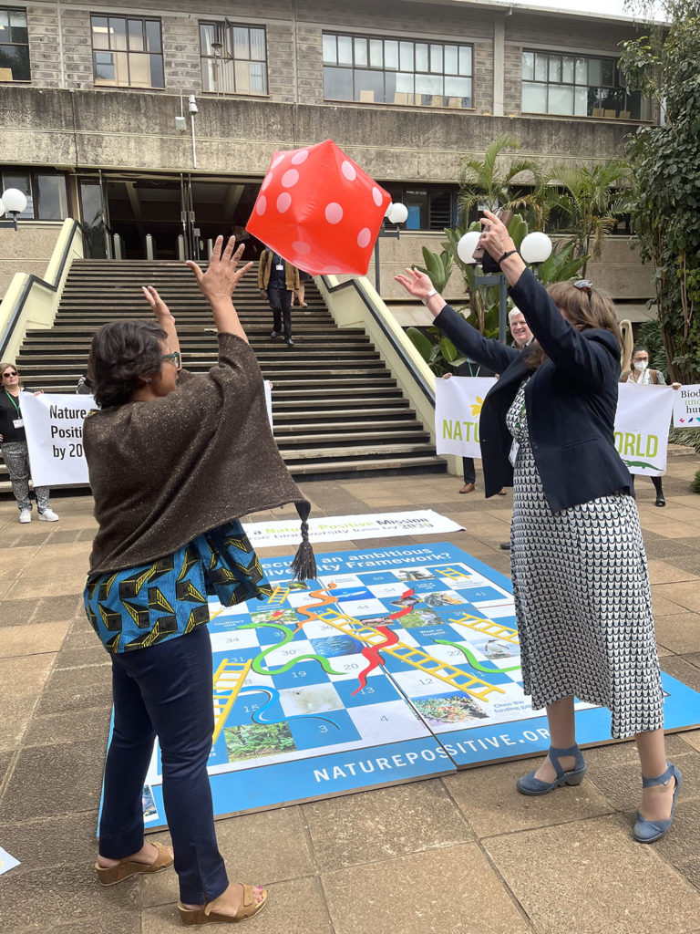 Delegates played a game of snakes and ladders, as part of a protest installation to highlight pitfalls in the negotiations including harmful subsidies, weak commitments to tackle production and consumption footprints and a lack of political will to prioritise nature. Credit: Aruna Chandrasekhar (2022)