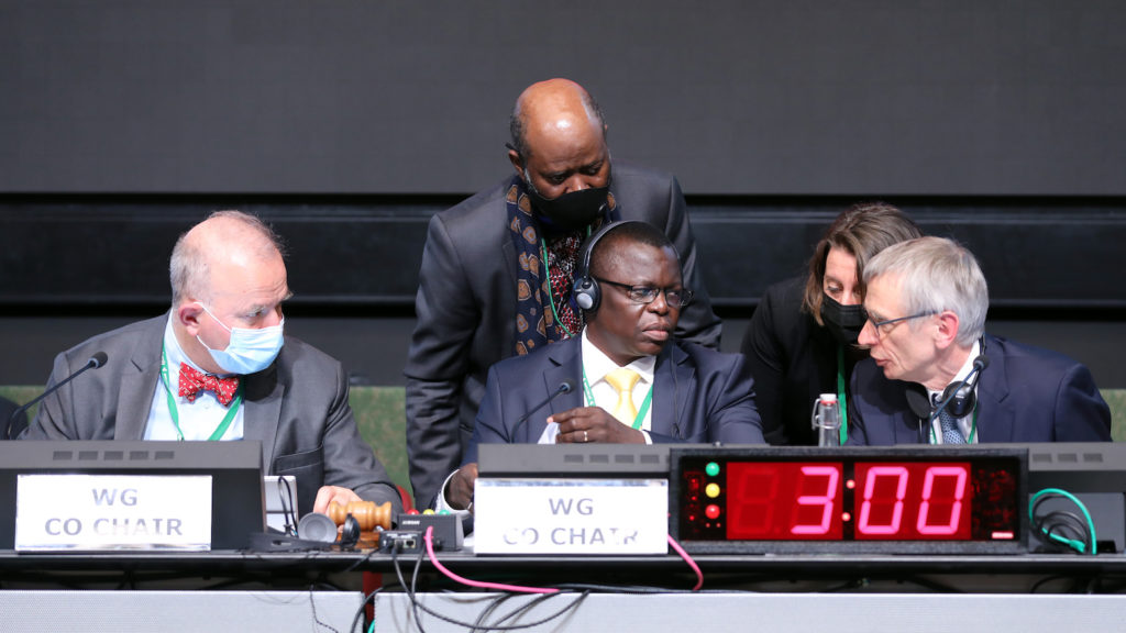 View of the dais during the plenary at WG2020 in Nairobi