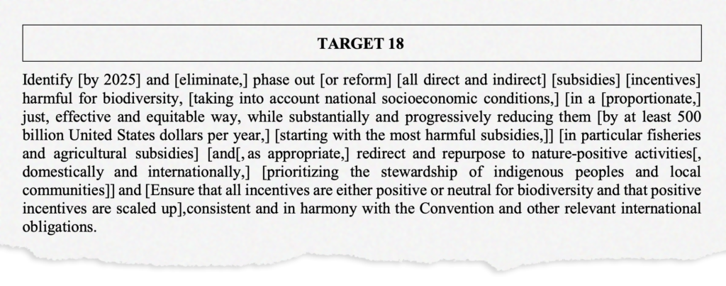 The draft wording of Target 18 of the Global Biodiversity Framework at the end of the Nairobi nature talks. Courtesy: UN Biodiversity (2022).