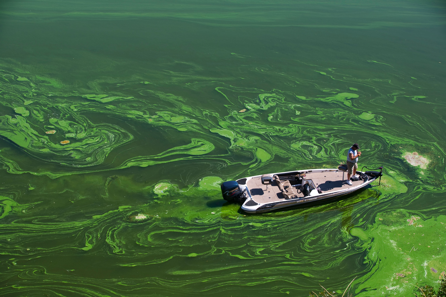 一个fisherman in a toxic blue algae bloom in Copco Reservoir, Northern California