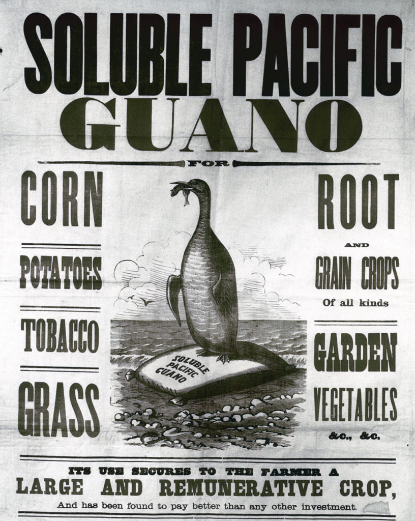 一个merican advertisement for guano from Chicha islands off Peru