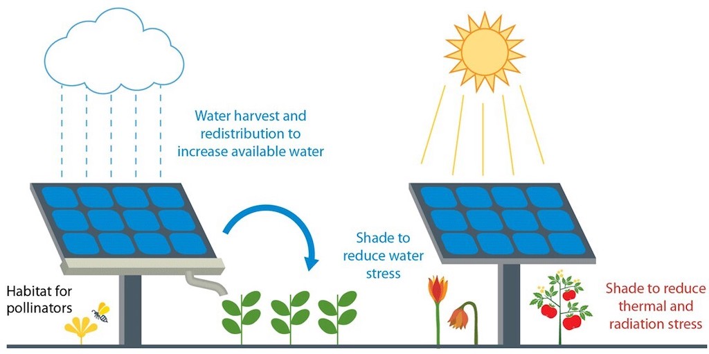 Schematic showing some of the potential benefits of agrivoltaic systems. Source: NREL.