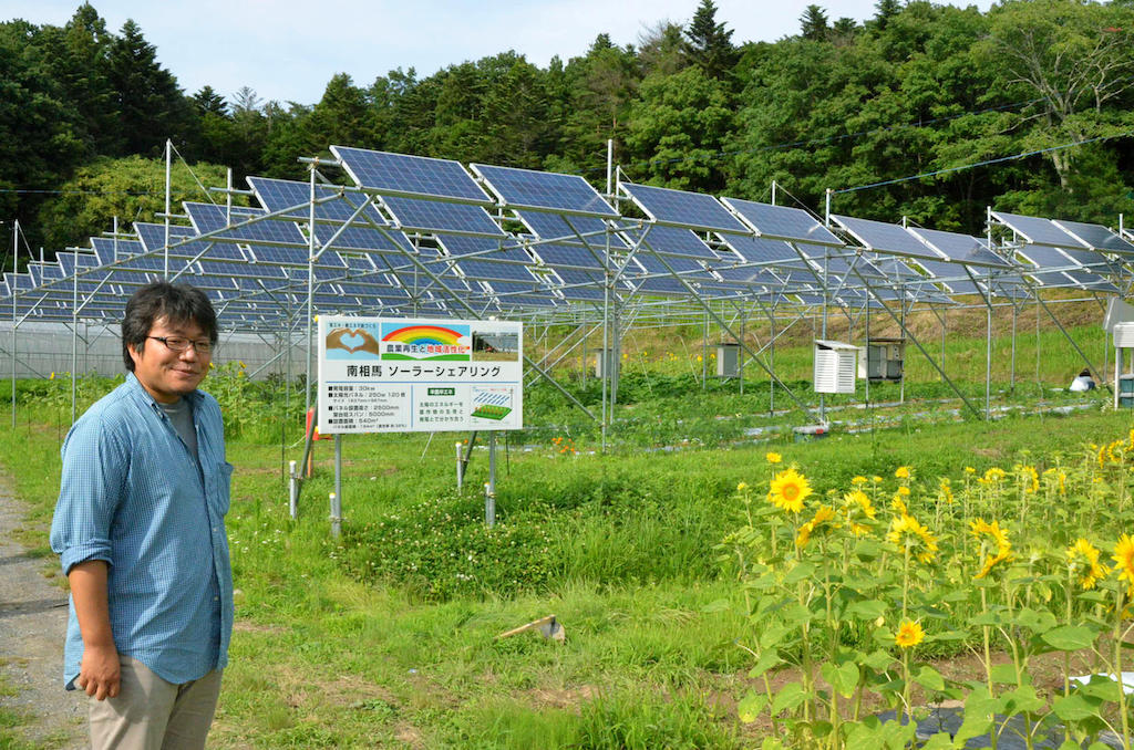 首席的Sohei高桥Eco-energy Minamisoma Research Institute, shows an experimental greenhouse run from solar power in Minamisoma, Fukushima Prefecture, on July 2 2015.