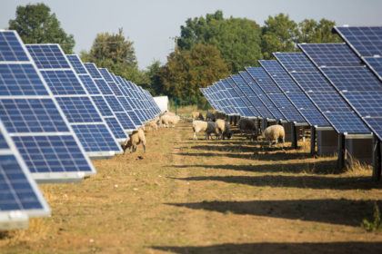 Wymeswold Solar Farm, the largest solar farm in the UK at 34 MWp, is based on an old disused second world war airfield, Leicestershire, UK. Image ID: DGHCKE. Credit: Ashley Cooper / Alamy Stock Photo.