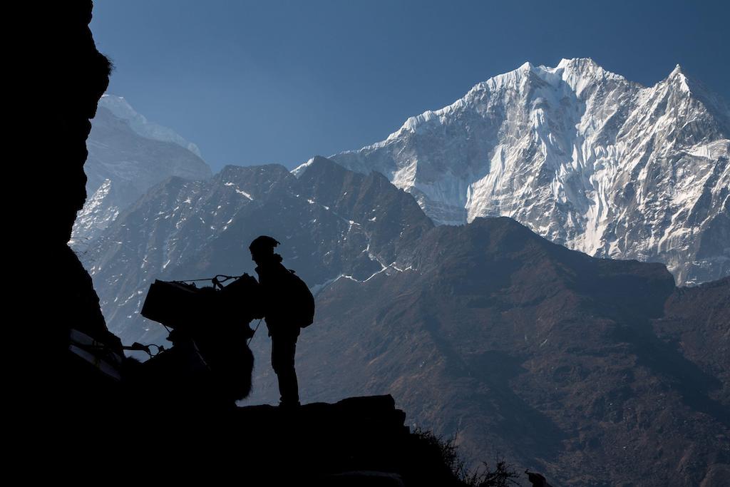 A Sherpa man fixing the load on a yak with Thamserku peak as a backdrop. Everest region, Nepal.
