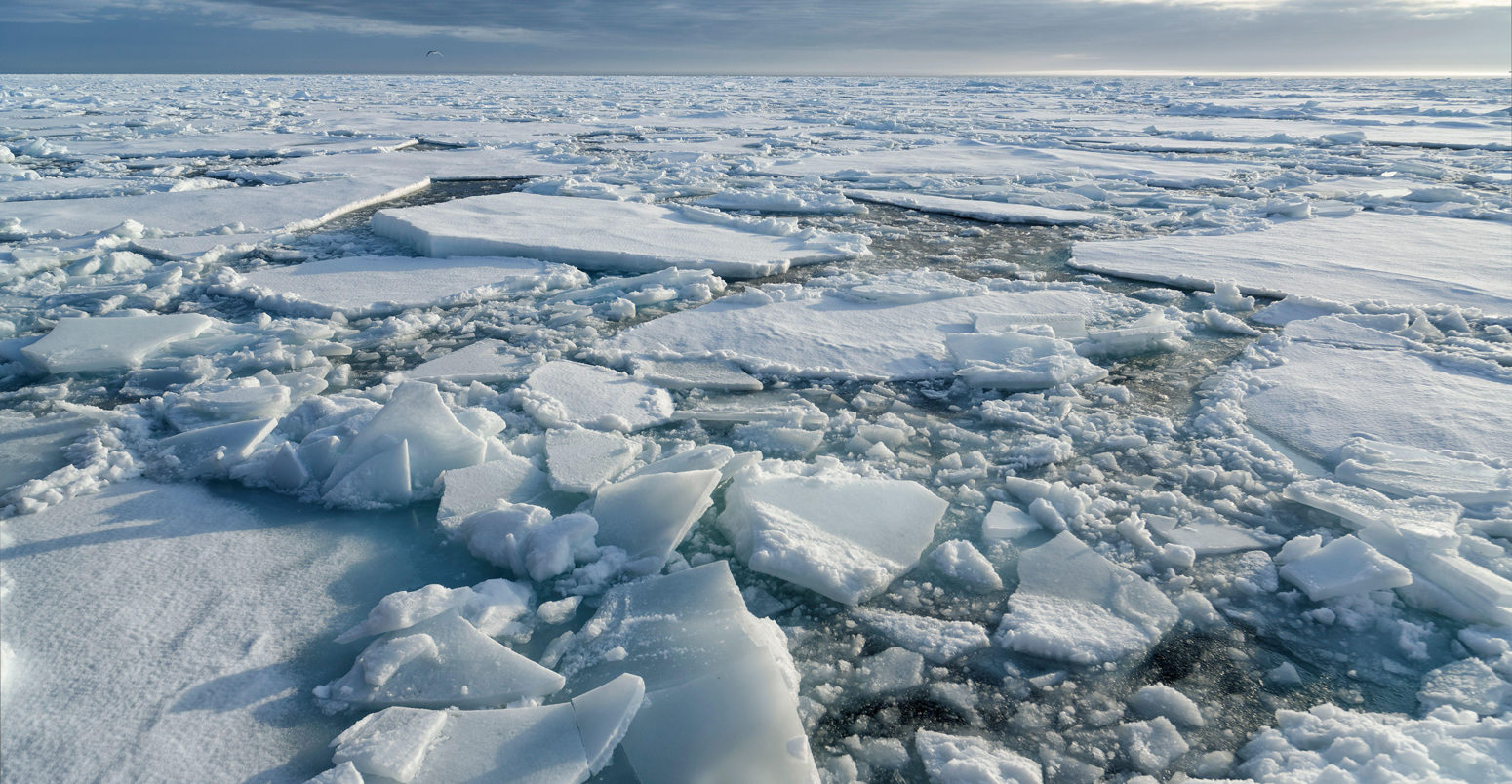 Broken pieces of Arctic sea ice north of Svalbard