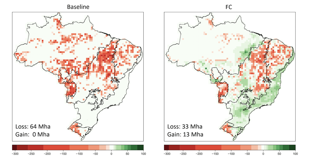 Deforestation and restoration across Brazil between 2021 and 2050