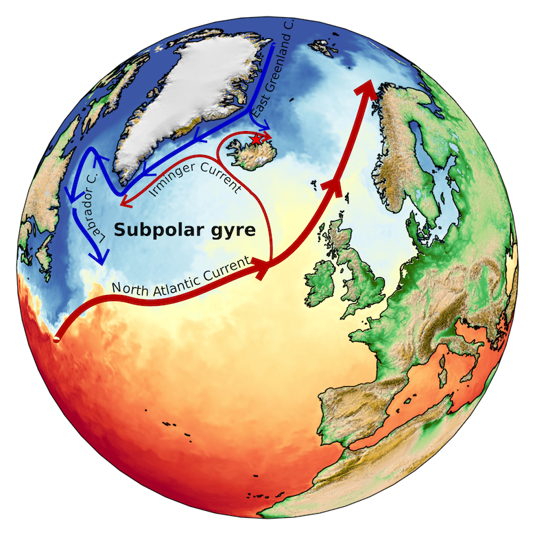 Illustration of the North Atlantic subpolar gyre. The red arrows represent the relatively warm and salty waters carried northwards by the North Atlantic Current, westward as the Irminger Current, and clockwise around Iceland as the North Icelandic Irminger Current. The blue arrows correspond to relatively cool and fresh Arctic waters transported southward by the East Greenland Current that diverts north of Iceland as the East Iceland Current and southwest of Greenland as the Labrador Current. The subpolar gyre flows anti-clockwise in the subpolar North Atlantic. The red star indicates the location of the quahog shell sampling site (80 metre water depth). The colour map represents April sea surface temperatures during 2016. Credit: Beatriz Arellano-Nava.