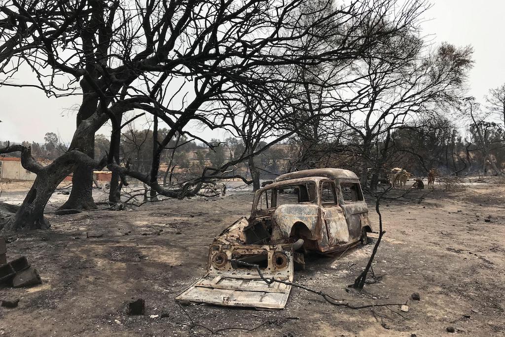 A burnt vehicle amid burnt trees following a wildfire in El Kala, Al Taref province, Algeria, 18 August 2022.