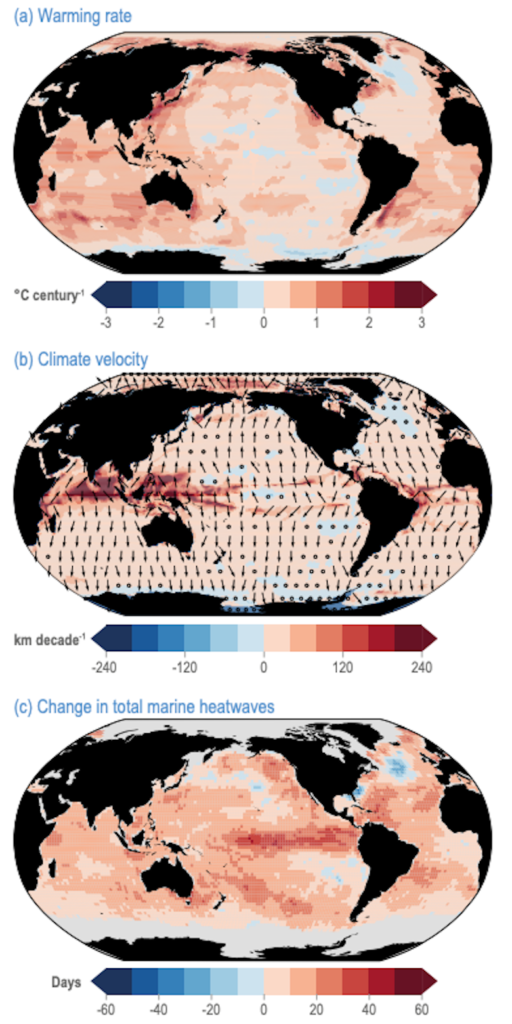 Changes in ocean variables between 1925-2016: (a) warming rate, in degrees C per century, (b) climate velocity, in km per decade and (c) change in the number of marine heatwave days between the periods 1925-54 and 1987-2016. Source: IPCC (2022) Figure 3.3.