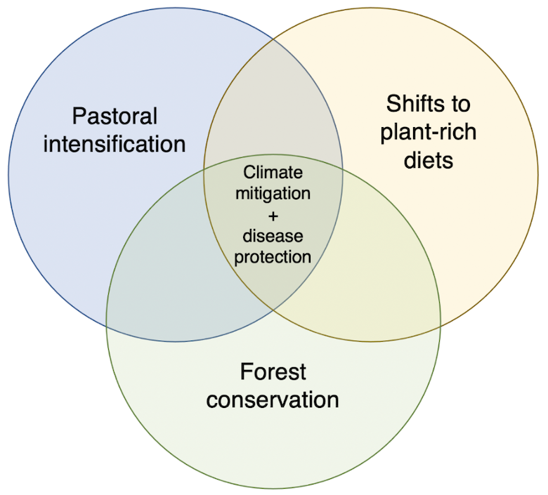 A three-pillared approach to mitigating climate and infectious disease risks from food systems.