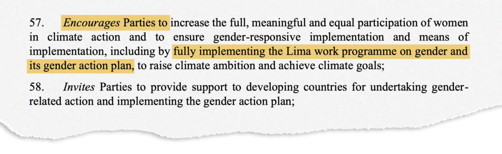 COP27 final text on gender action plan
