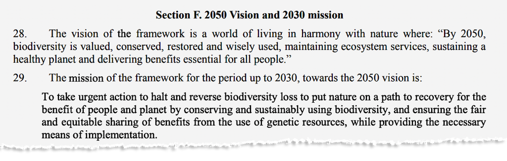 Section F. 2050 Vision and 2030 mission