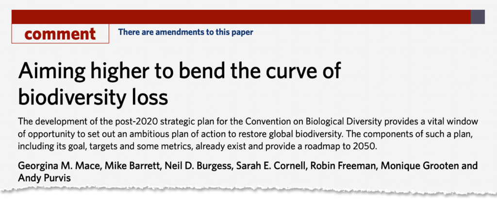 Aiming higher to bend the curve of biodiversity loss rag out