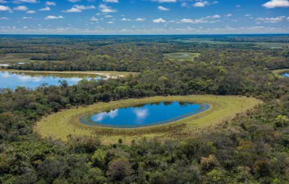 Aerial View of blue lakes in Brazilian Pantanal wetlands.