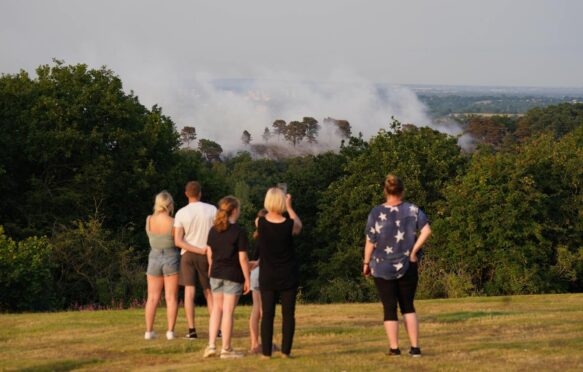 A large wildfire in Lickey Hills Country Park, Birmingham, July 2022.