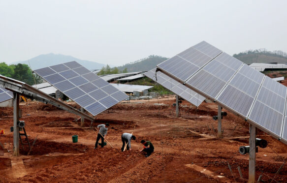 Villagers in Jiangxi province, China, plant peanuts in the open space of a 20MW solar photovoltaic power station.