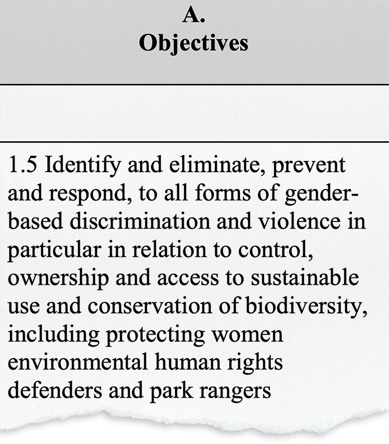 Gender-based violence against women conserving nature appears in one of the objectives of the “gender plan of action”, adopted in December 2022 at the UN Biodiversity Summit COP15.