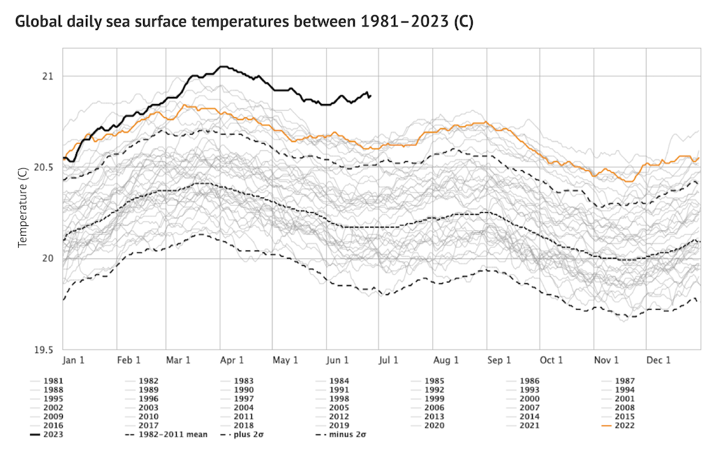 Global daily sea surface temperature (SST) between 60S and 60N from NOAA’s OISST dataset for each year since 1981.