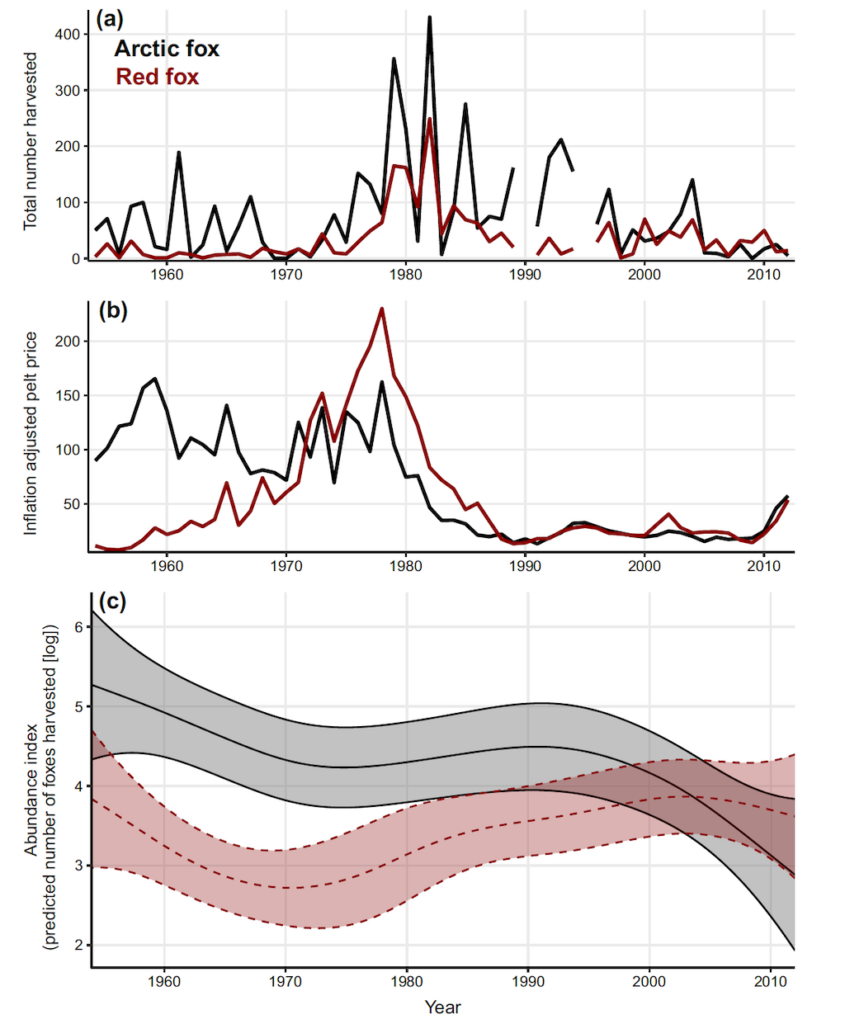 The total number of Arctic (black) and red (red) fur harvests from 1955-2012 (top), the price for fox pelts (furs) when adjusted for inflation (middle) and an estimate of population size when hunting effort and inflation is accounted for (bottom).