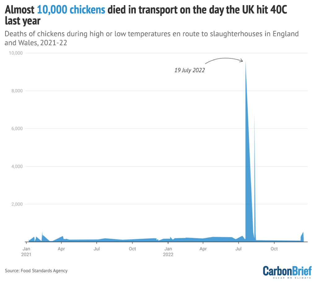 肉鸡死亡由于热应力或hypothermia in transport to slaughterhouses in England and Wales, 2021-22.