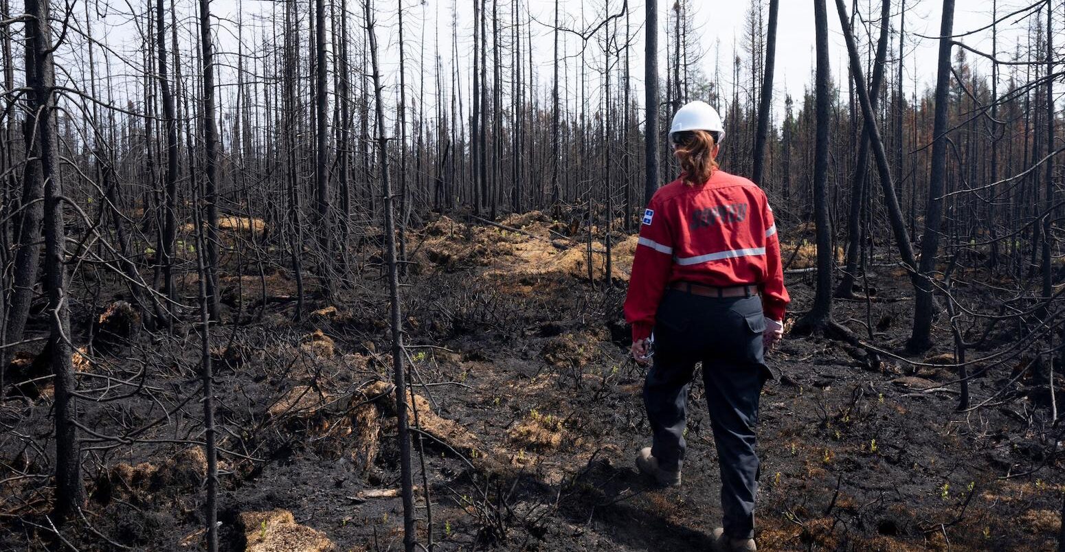 A forest protection officer walks through an area of burned forest in Quebec, Canada, on 5 July 2023.