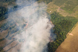 A drone shot of a fire in the Amazon forest.
