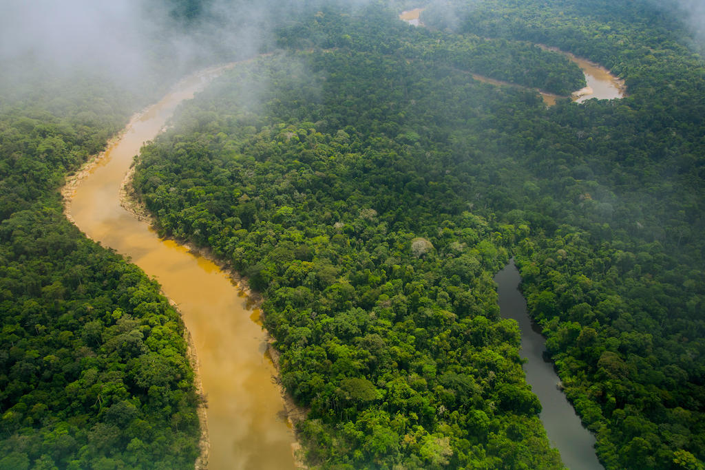 The Yavari Miri River and oxbow lake, between Iquitos, Peru and Brazilian border.