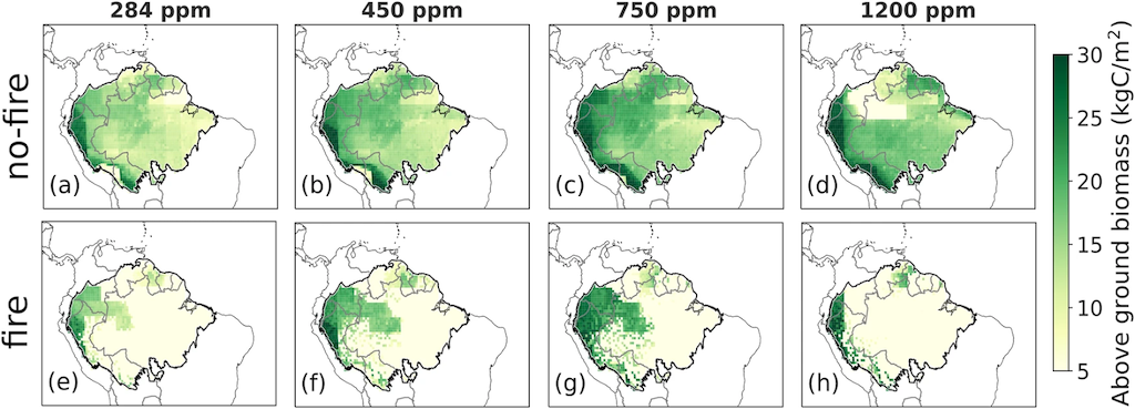 Maps showing the regrowth of the Amazon rainforest over the last 10 years of the “recovery stage” in scenarios with no fire (top) and with fire (bottom).