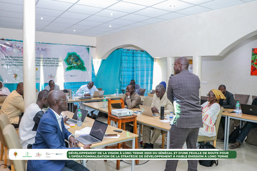 Discussions as part of the international DDP initiative took place involving a range of stakeholders ahead of the JETP.