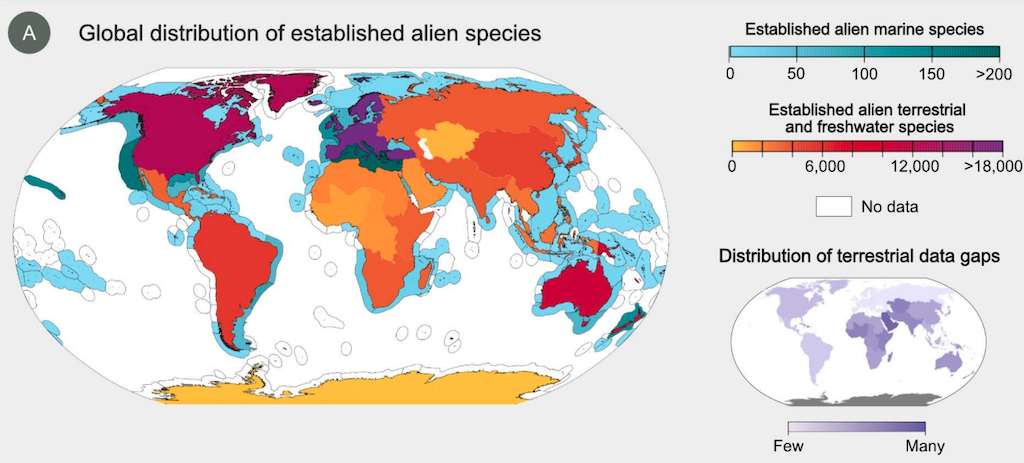 The global distribution of all known established alien species occurrences in the land and sea.