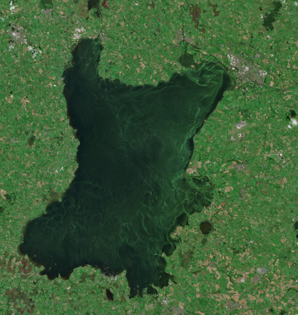 True-colour satellite image from 4 September 2023 showing algal bloom conditions on Lough Neagh in Northern Ireland.